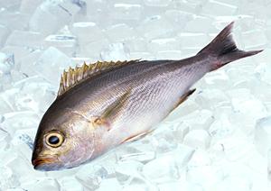 年代物のウイスキーを豊富に取り扱う信濃屋