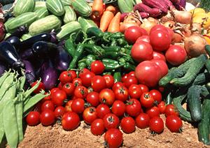アーモンドの様々な食べ方について