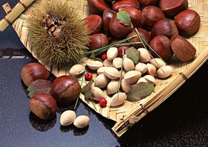 京都四条烏丸で楽しむシェイクシャックの魅力