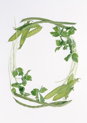 横浜・綱島で楽しむ絶品すた丼！伝説のすた丼屋 綱島店の魅力と店舗詳細