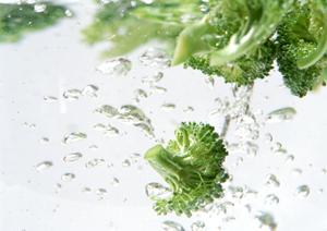 48年の実績を持つ宅配弁当のパイオニア